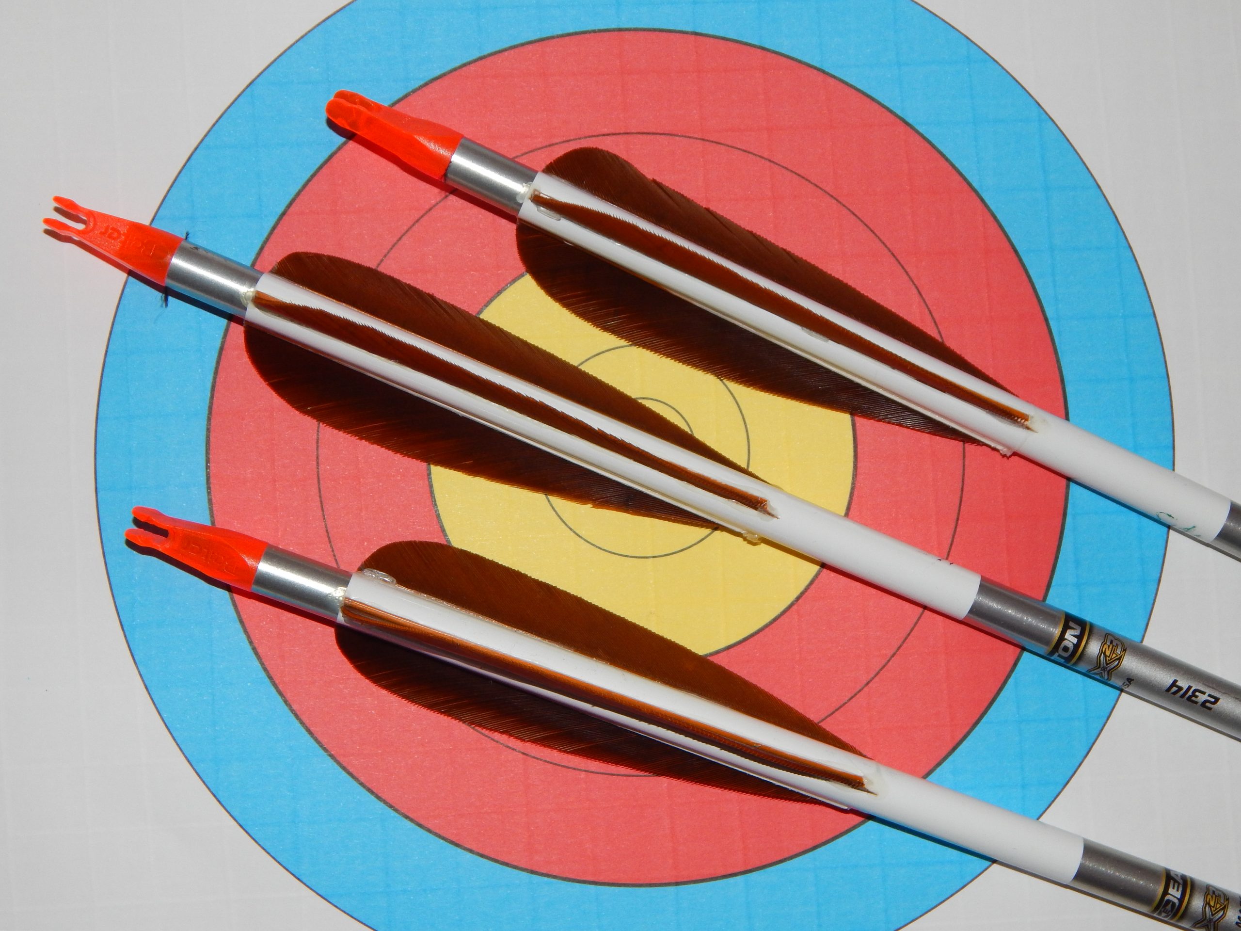 Berlin Open International Archery Tournament 2024 ( ? ) im